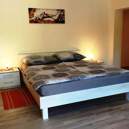 Apartment Goga Mare *