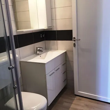Apartment Goga Mare *