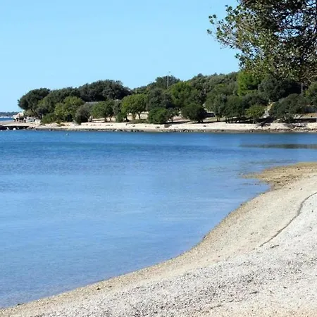 Goga Mare Apartament