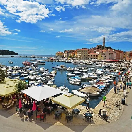 Apartament Goga Mare