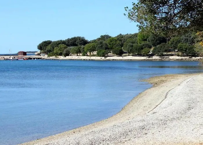 Goga Mare Apartament