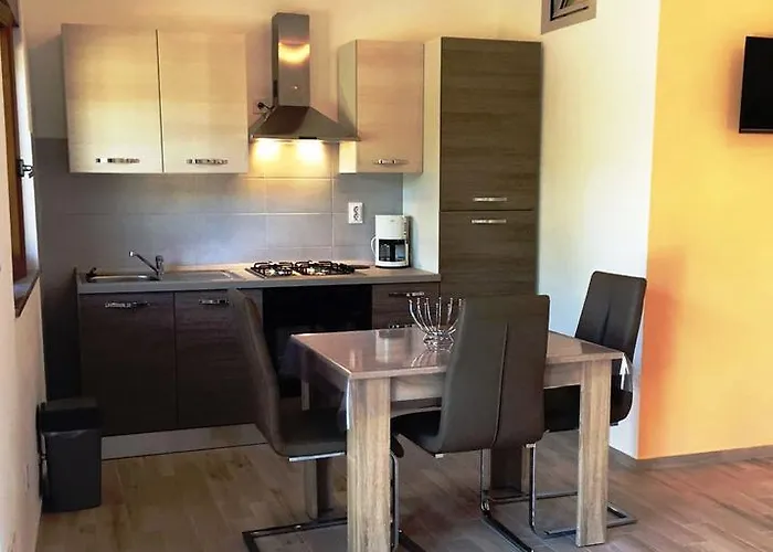 Apartament Goga Mare *