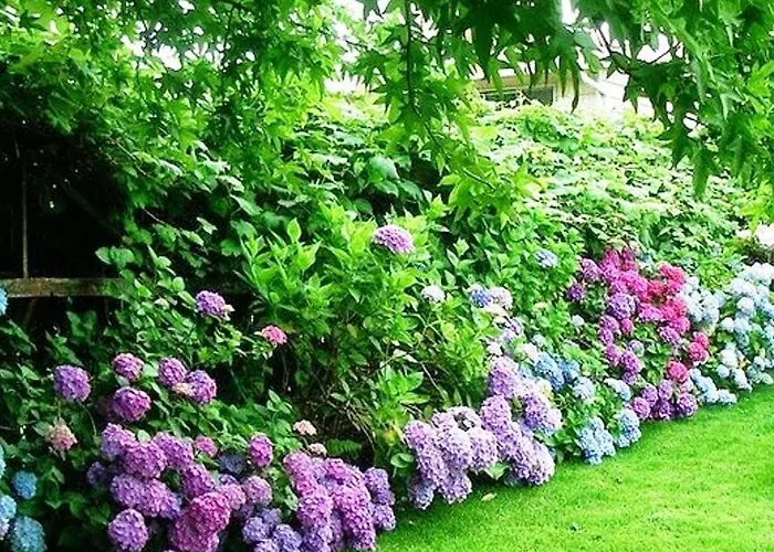 Apartament Goga Mare *