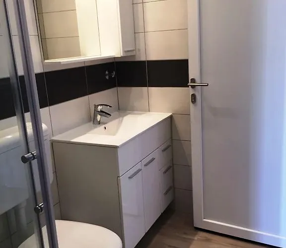 Apartament Goga Mare *