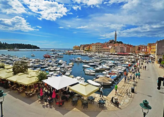 Apartament Goga Mare